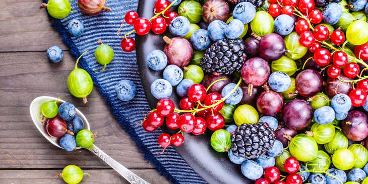 Descubre el Poder Antioxidante